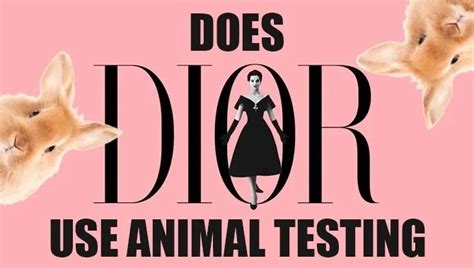 dior animal testing policy